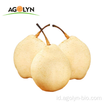 Cina Baru Tanaman Manis Juicy Golden Pear